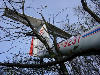 ../newssystem/imagesNews/old_archive/thumbnails/9231.jpg (38982 bytes)