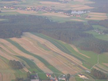 ../newssystem/imagesNews/old_archive/thumbnails/wald4tel_02.jpg (13294 bytes)